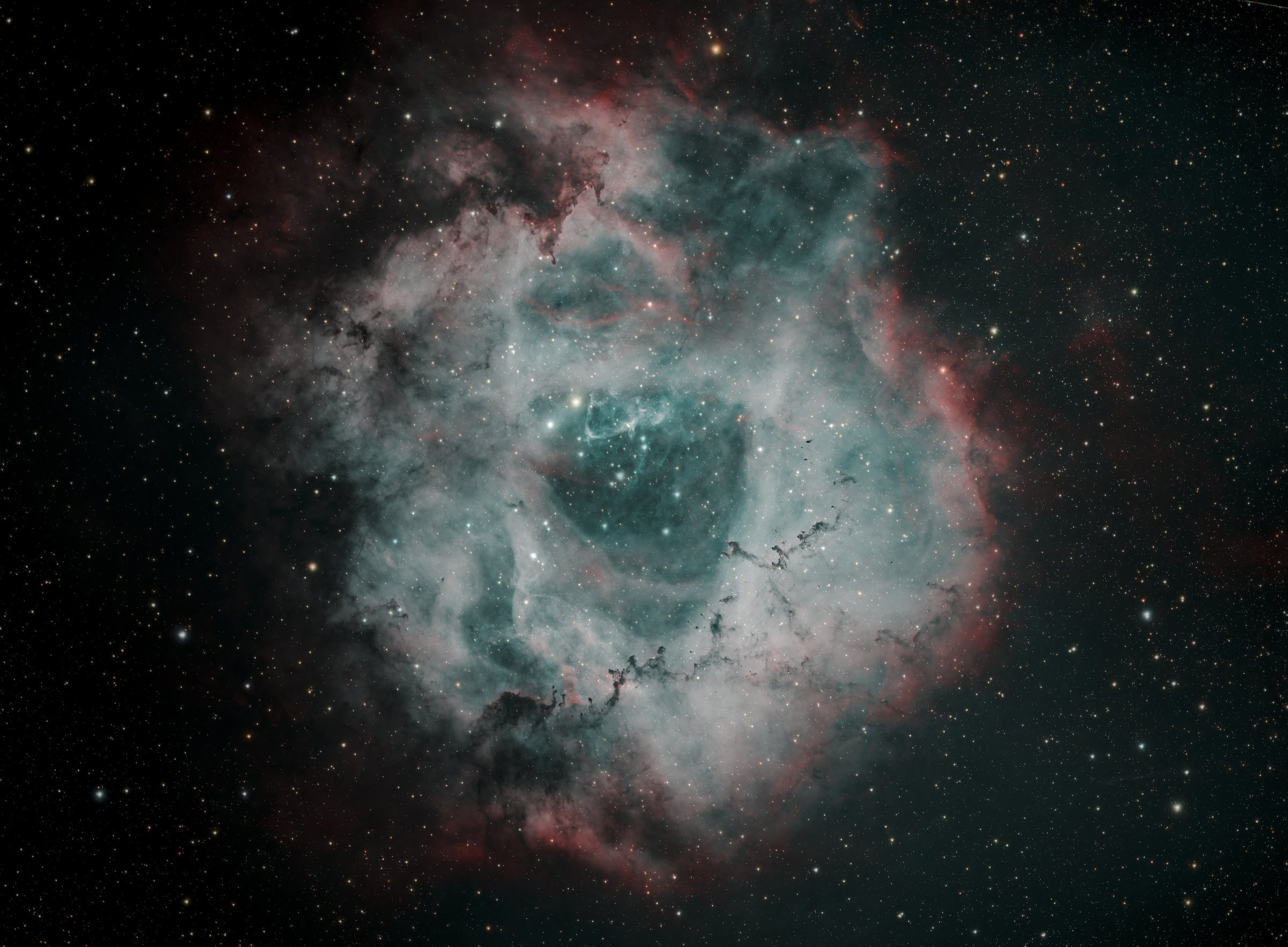 Rosette Nebula